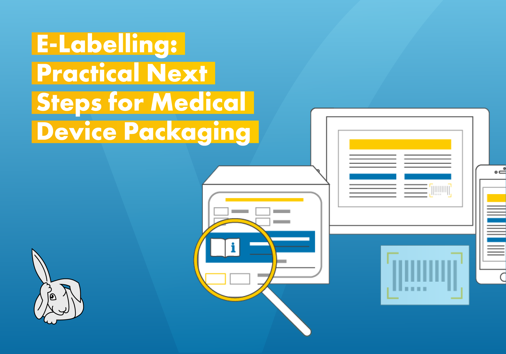 E-Labelling: Practical Next Steps for Medical Device Manufacturers